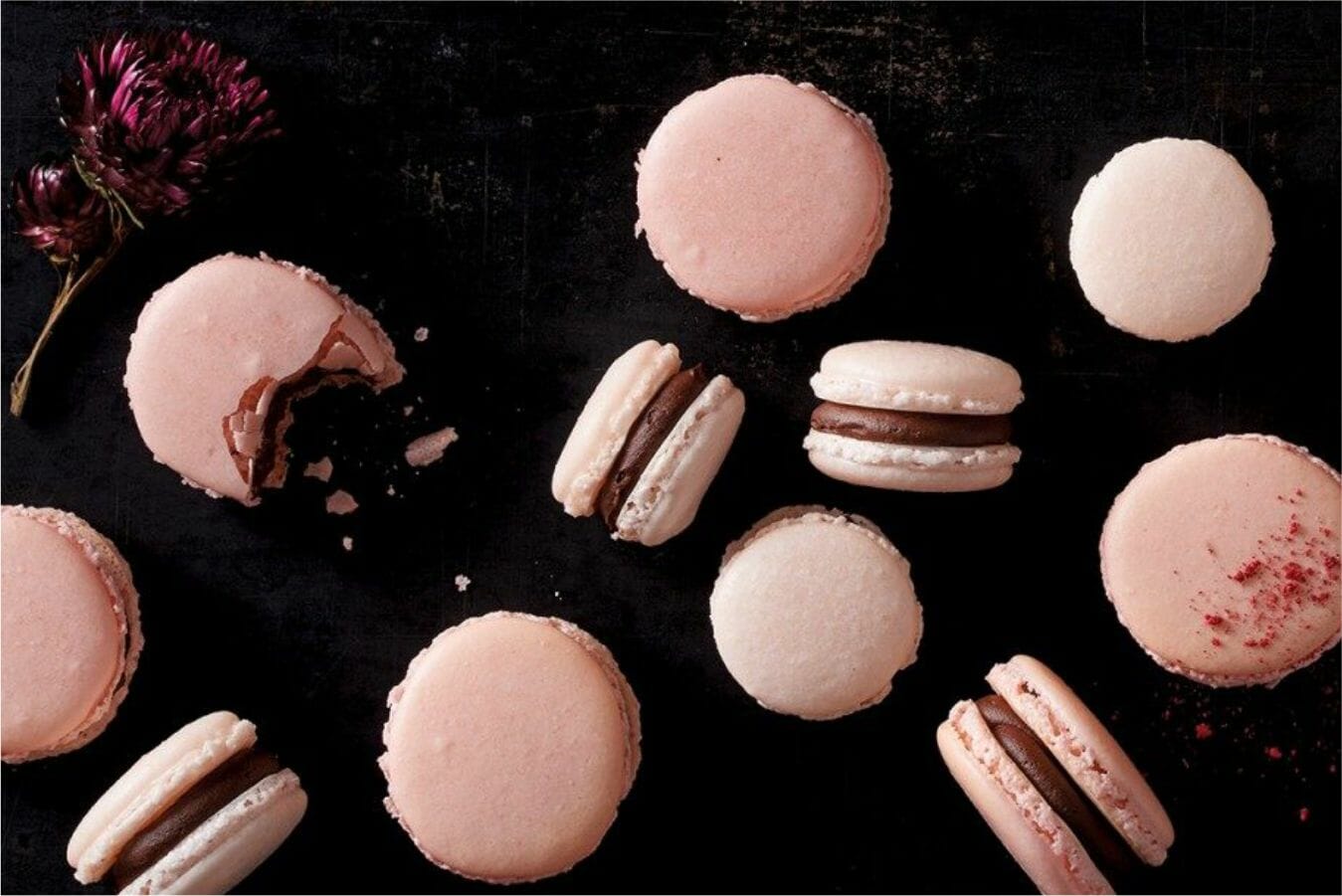Nut Cicok header image for aariafoods