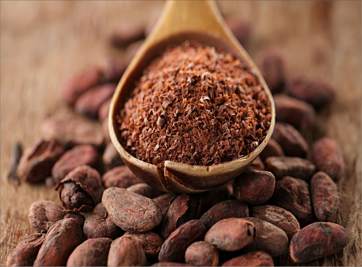aariafoods- the premimum line of chocolats