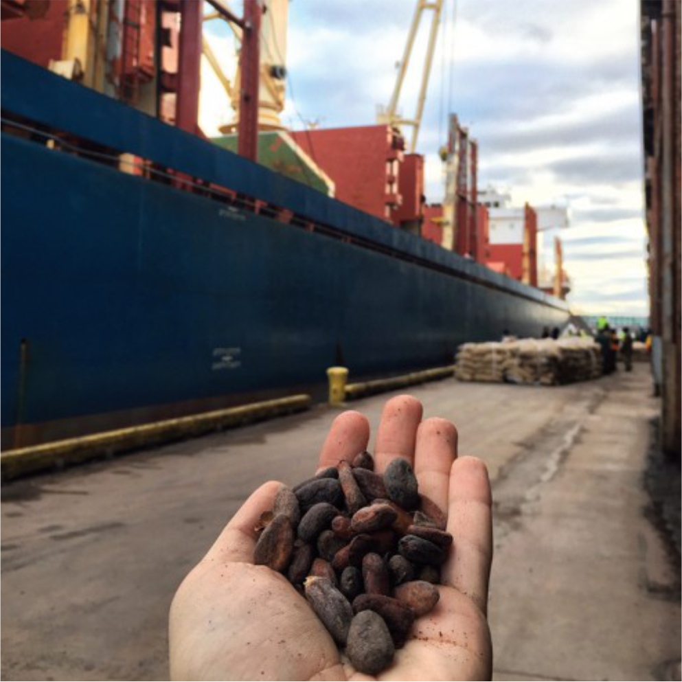 choco beans in hand